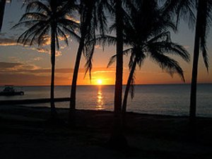 Silhouetten van palmbomen tegen een gouden zonsondergang boven zee bij Maria la Gorda in Cuba