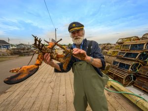 Zalm en krab vangen bij Matane