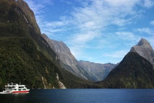 Cruiseboot vaart over het water van Milford Sound omringd door hoge beboste bergen onder een blauwe lucht in een bergachtig natuurgebied in Nieuw-Zeeland