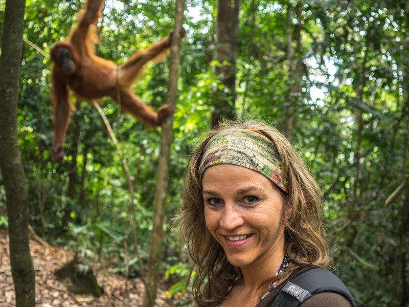 Sumatra bukit Lawang