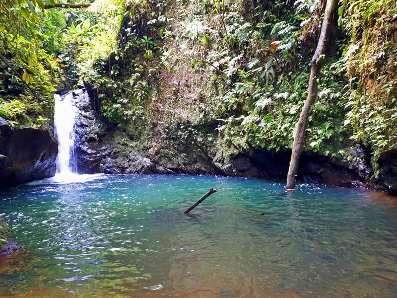 Waterval in Corcovado jungle