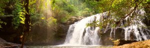 Khao Yai | Riksja Thailand