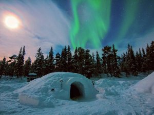Een iglo in een besneeuwd landschap omringd door dennenbomen, met daarboven het noorderlicht dat groen door de nachtelijke hemel danst.