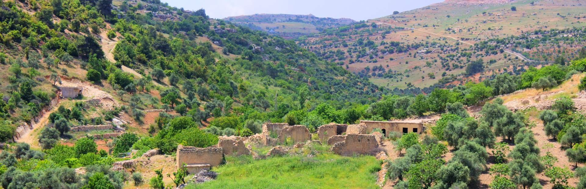 Jordanië - Aljoen