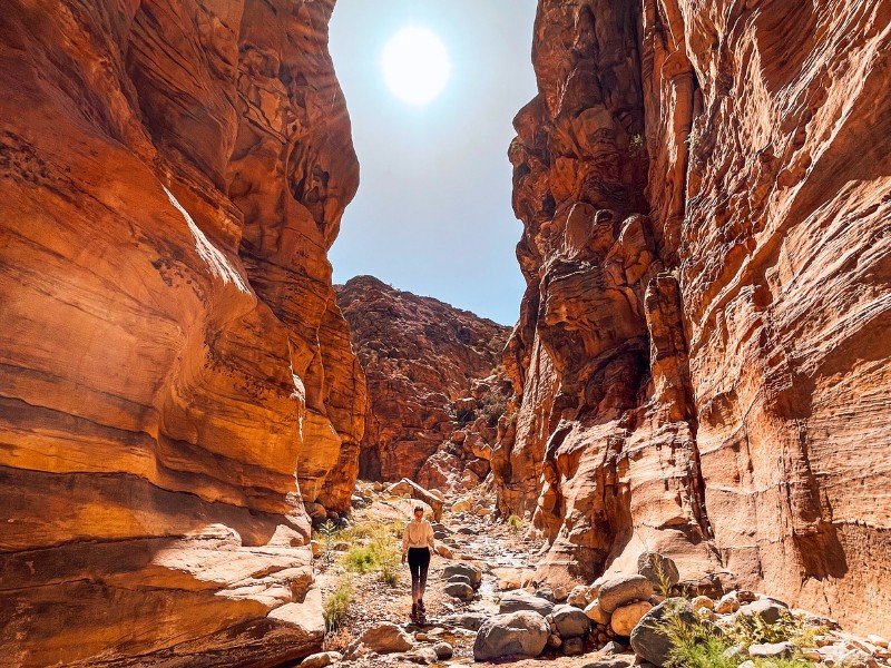 Jordanië - Dana