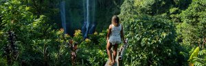Natuur Bali
