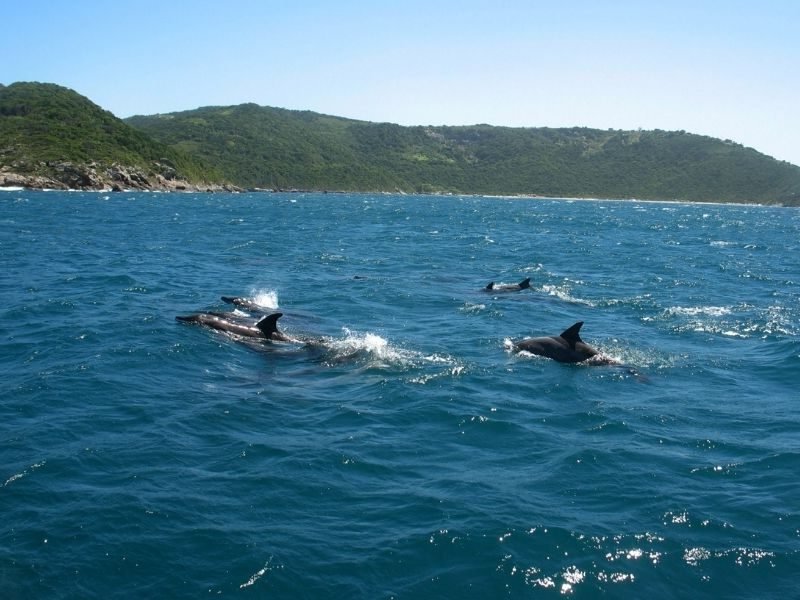 Fernando de noronha