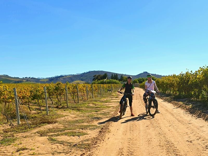 Fietsen wijngaarden Stellenbosch Zuid-Afrika