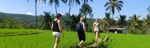 Rondreis indonesië