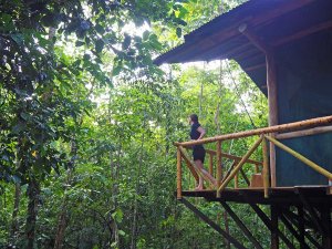 Bungalow in de jungle