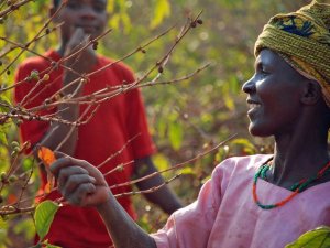 Tanzania locals