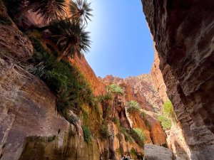 Jordanië - Ghuweir-Trail