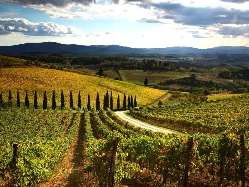 Chianti in italie