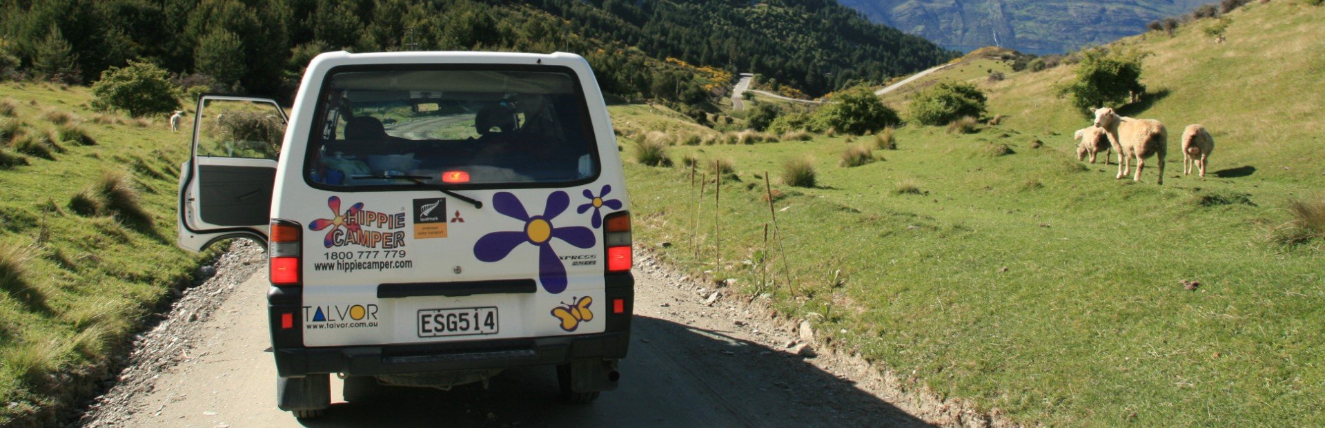 Witte Hippie Camper bus met open zijdeur op een onverharde weg met grazende schapen op een groene heuvel en bergen op de achtergrond in een landelijk natuurgebied