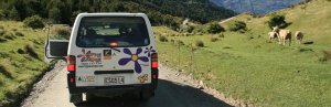 Witte Hippie Camper bus met open zijdeur op een onverharde weg met grazende schapen op een groene heuvel en bergen op de achtergrond in een landelijk natuurgebied