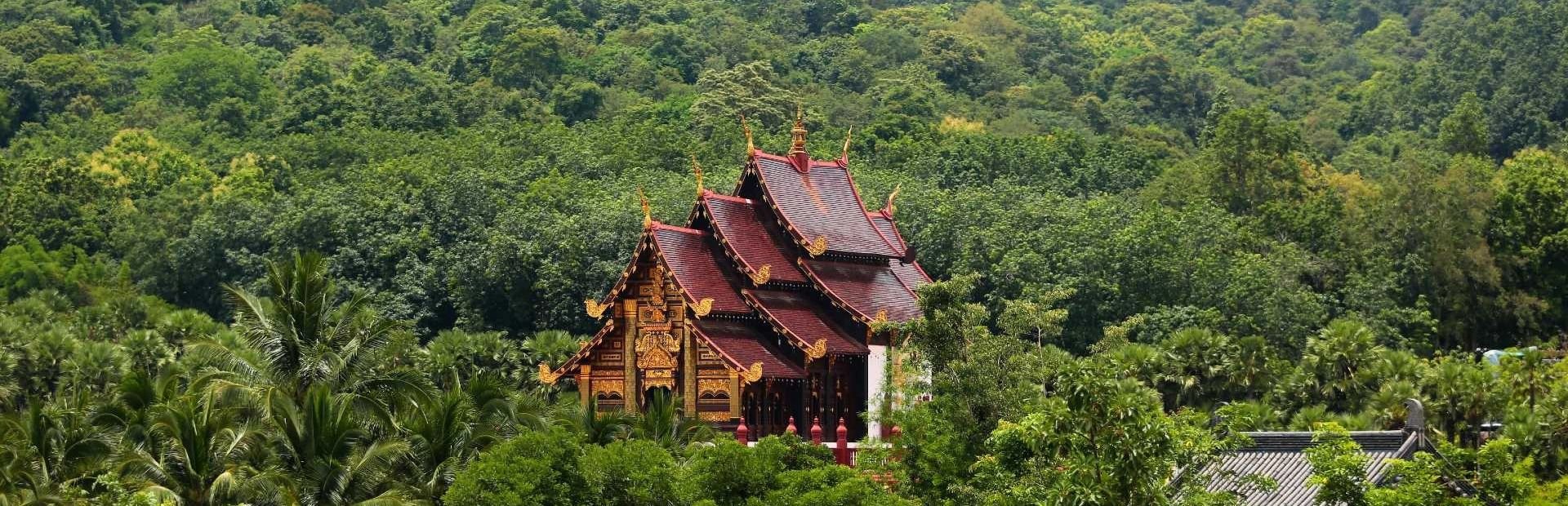 Tempelgebouw met houten dak en gouden details, gelegen in een beboste omgeving in Chiang Mai Noord-Thailand
