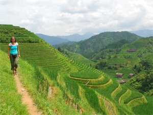 china reis rijstvelden