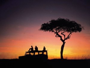 Zonsondergang game drive