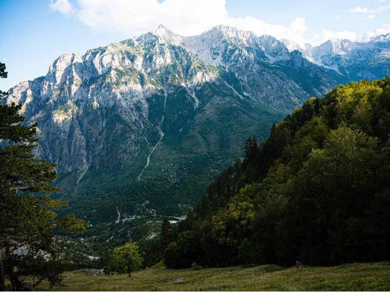 Dramatisch berglandschap met rotsen, bosvallei en grashelling Albanese Alpen