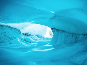 Fox Glacier