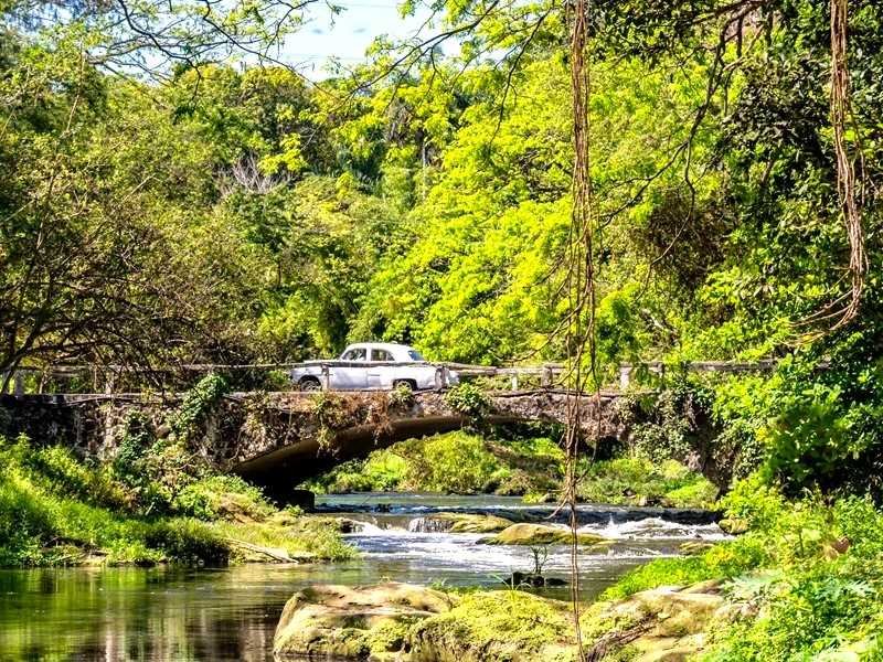 Een witte vintage auto in Cuba rijdt over een stenen brug boven een rivier in een weelderige, groene jungleomgeving.
