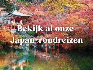 Japan rondreizen: tempel omringt door bomen in herfstkleuren