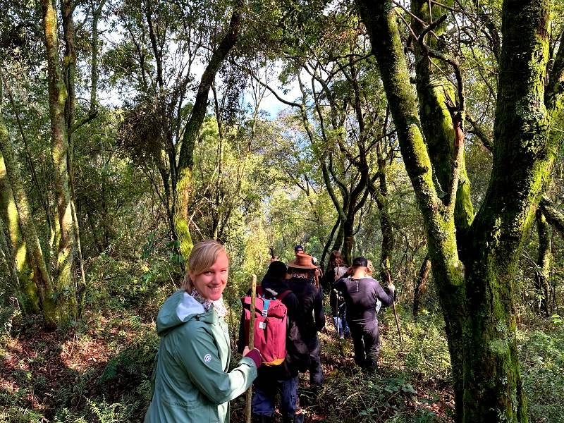 Gorilla trekking in Bwindi