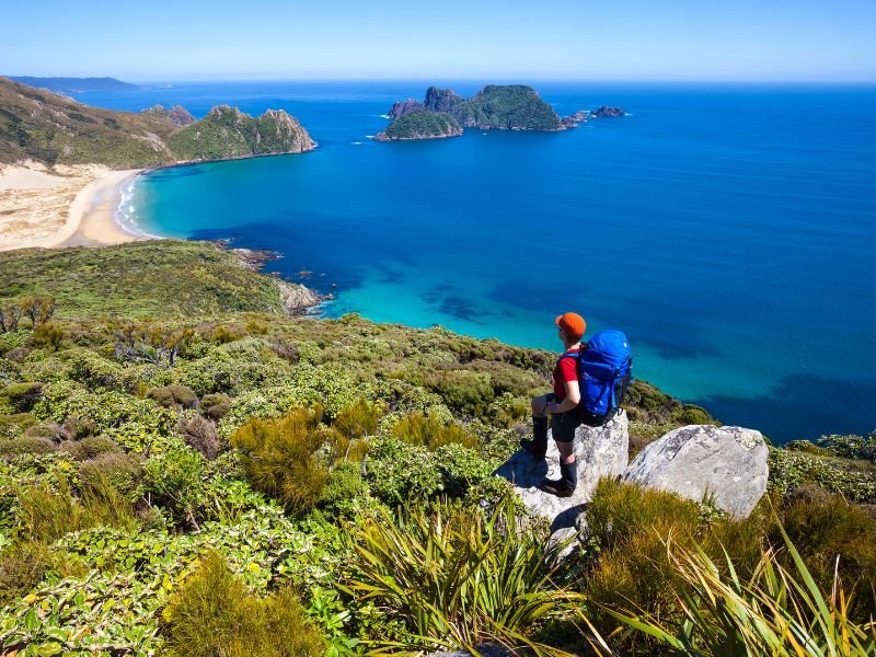 Stewart island nieuw zeeland