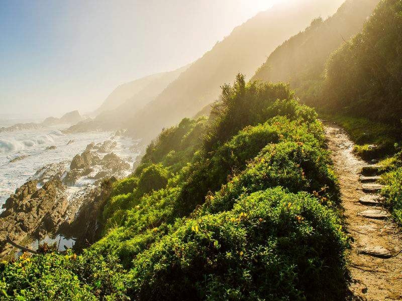 Zuid-Afrika-Tuinroute-Tsitsikamma