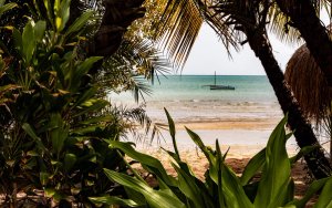 afrika mozambique