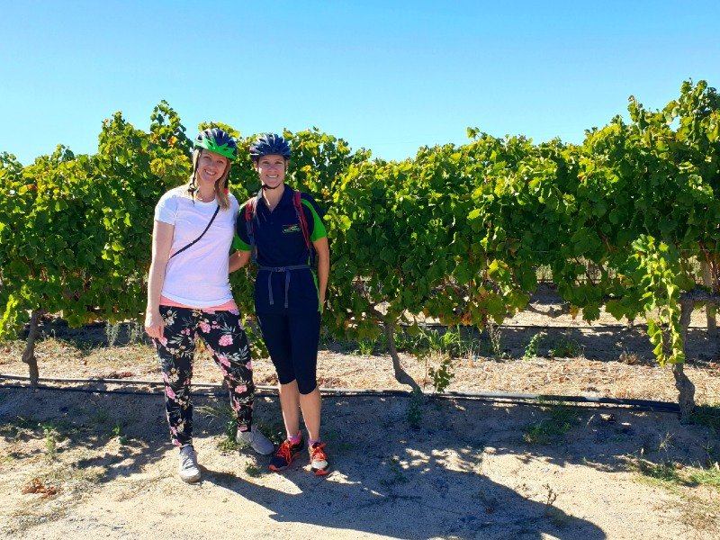 Napa Valley