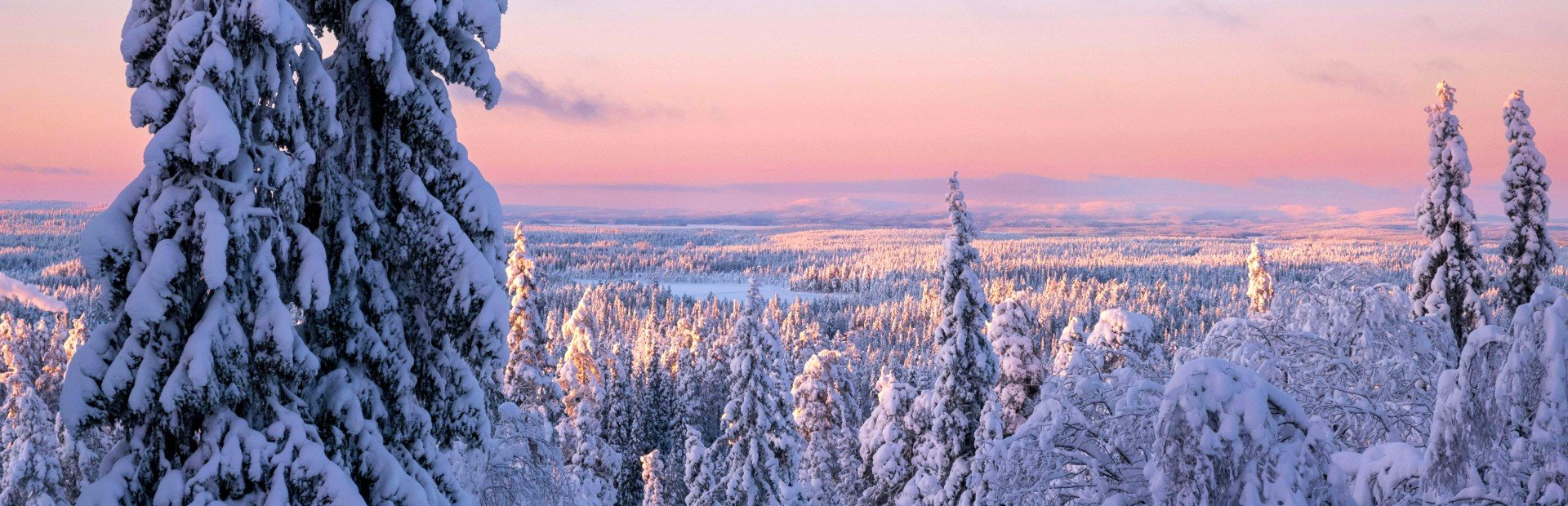 Lapland winters landschap
