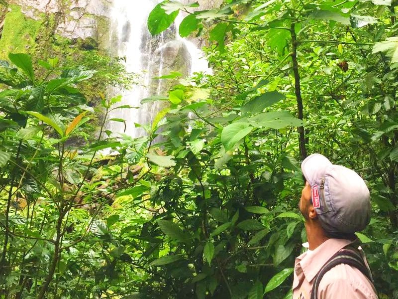 Waterval Costa Rica