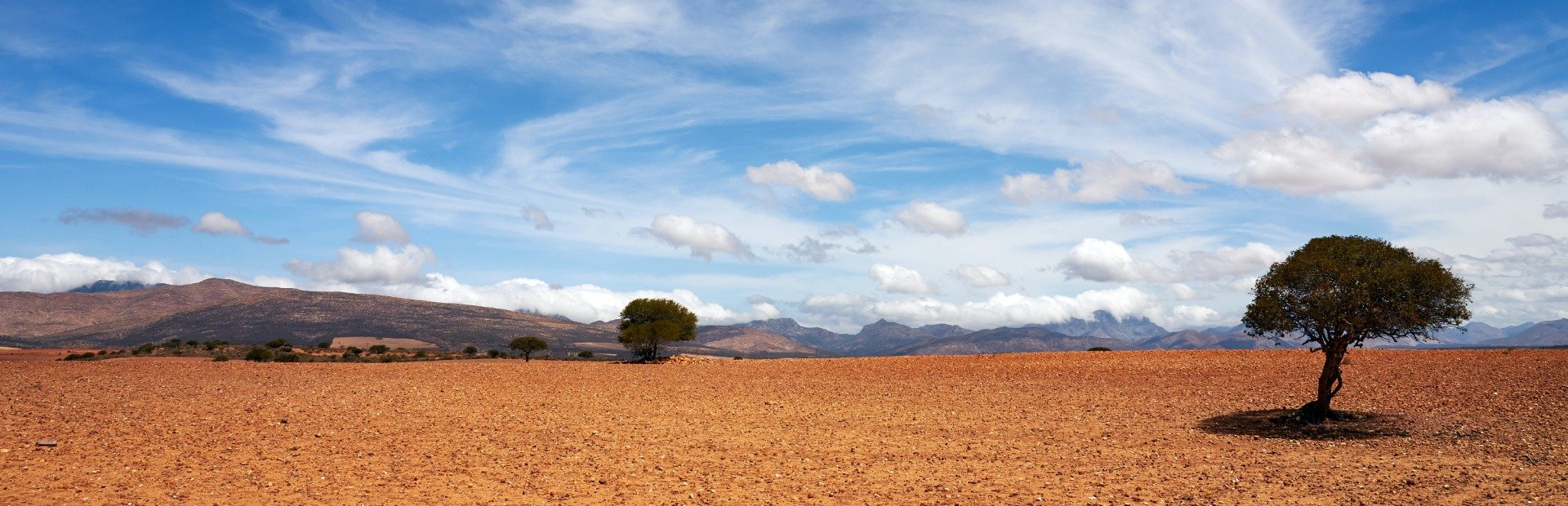 Panoramisch landschap van een uitgestrekte droge roodbruine vlakte met verspreide bomen, bergen in de verte en een blauwe lucht met witte wolken in Zuid-Afrika
