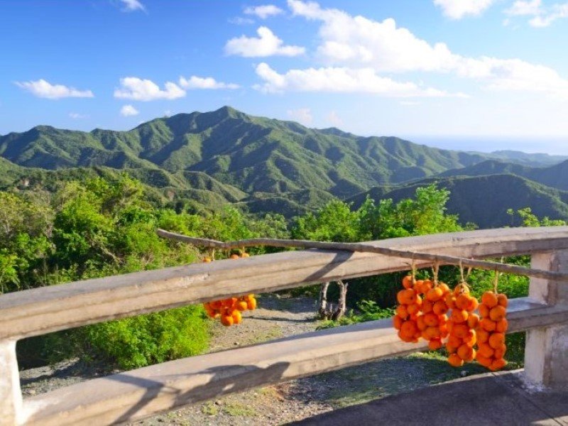 Snoeren van oranje fruit hangen aan een reling met uitzicht op weelderige groene bergen en de oceaan in de verte onder een blauwe lucht in Cuba