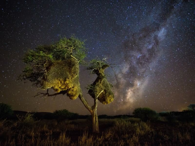 Zuid-Afrika sterrenhemel Krugerpark