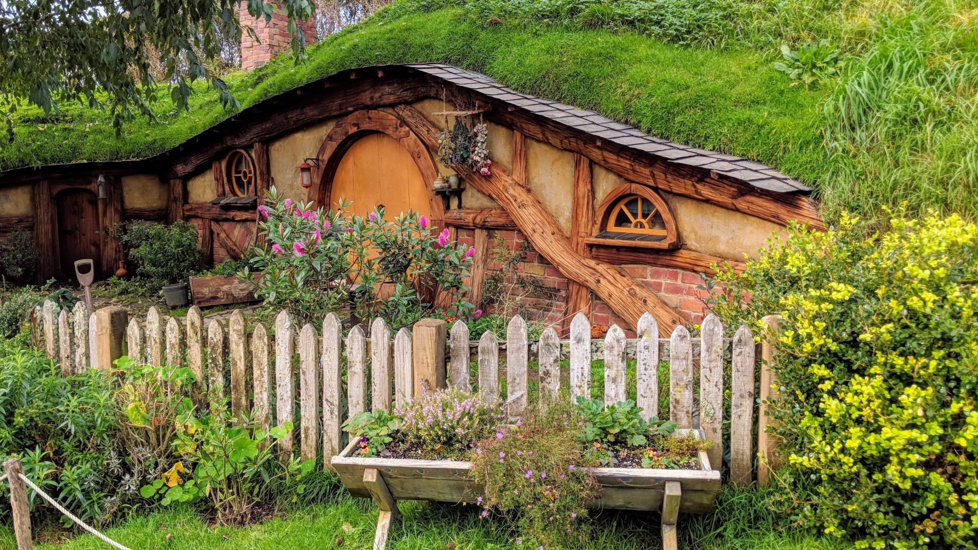 Hobbitwoning met ronde houten deur, grasdak en wit hek in een weelderige tuin in Nieuw-Zeeland