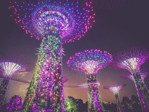 Gardens by the Bay Singapore