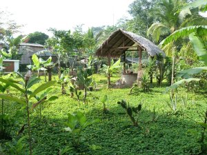 Rio San Juan hotel tuin