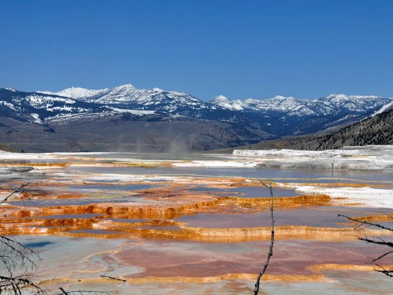 mammoth hot springs in Yellowstone
