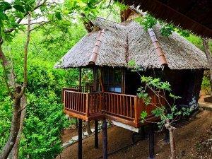 lodge Koh tao