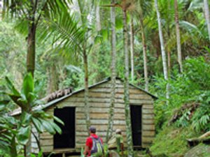 Twee wandelaars lopen naar een houten hut tussen palmbomen en dichte jungle in Topes de Collantes Cuba