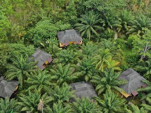 ecolodge Khao Sok