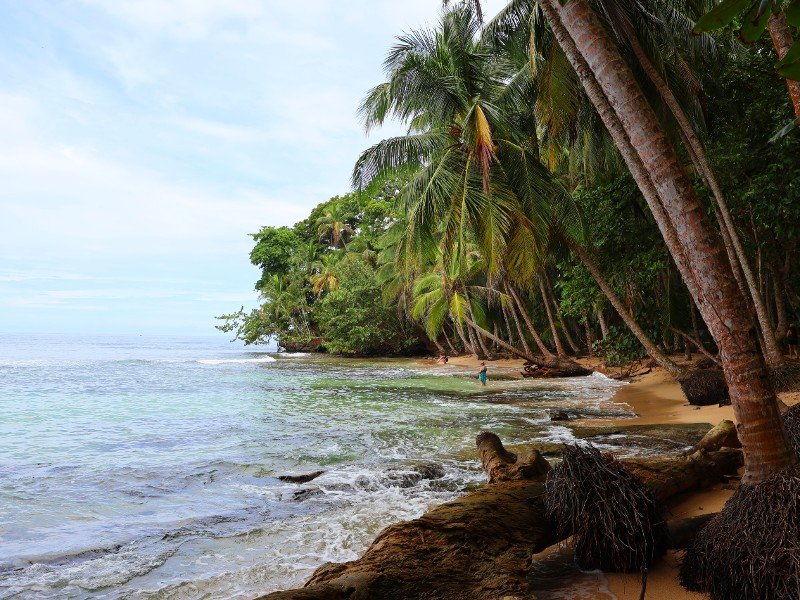 Manzanillo Wild Life Refuge strand