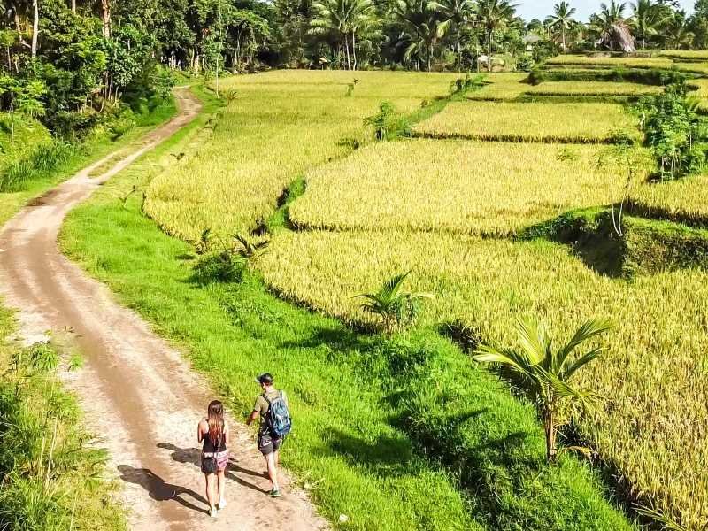 Wandelen bij Tetabatu