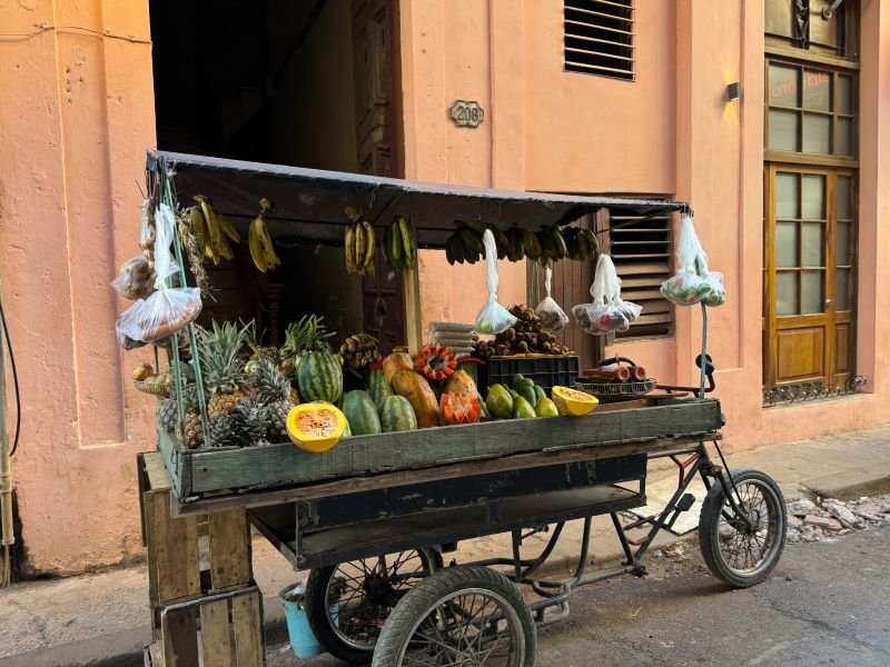 Een straatverkoperskar beladen met verschillende soorten fruit, waaronder ananassen, papaja’s en bananen, tegen een perzikkleurig gebouw in Cuba