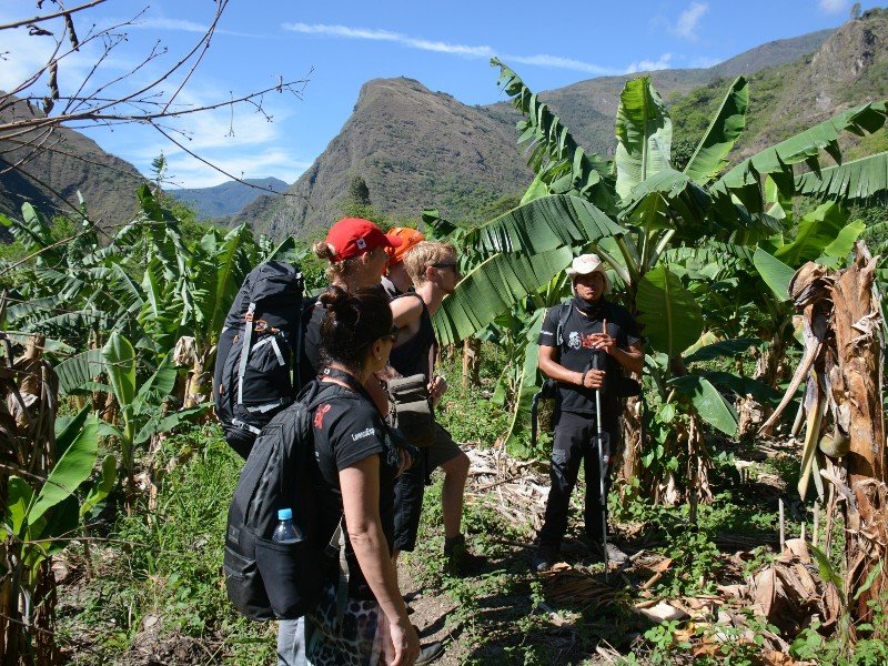 Gids Inca Jungle Trek
