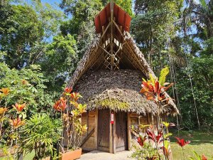 Cuyabeno jungle lodge Amazone Ecuador
