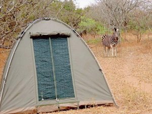 South Africa - Kruger Park - Thornhill Camp - tent