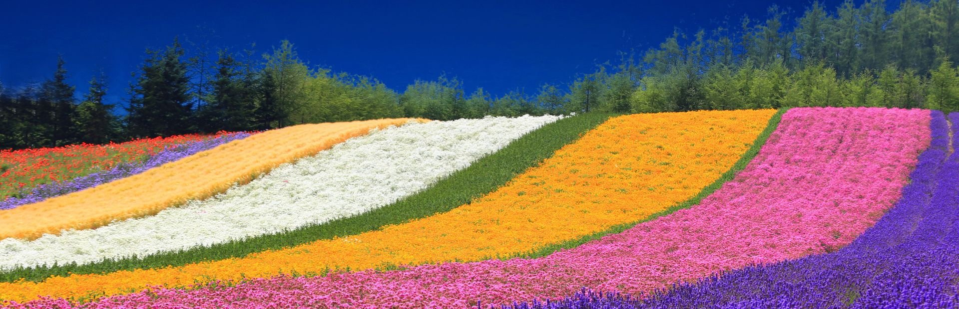 Japan - Hokkaido